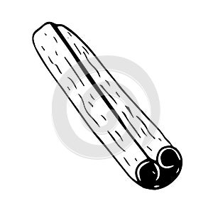 Cinnamon stick vector illustration, hand drawing sketch