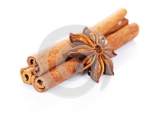 Cinnamon sticks and anisetree