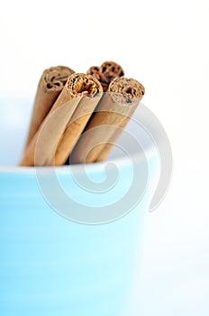 Cinnamon sticks