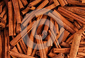 Cinnamon sticks in a bazaar