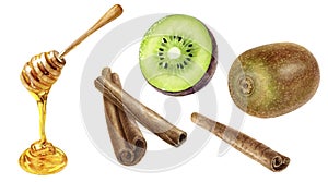 Cinnamon sticks honey dipper and kiwi fruit watercolor illustration isolated on white background