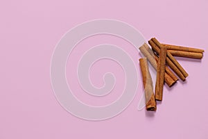 Cinnamon sticks on pink millennial background. It tastes and smells good