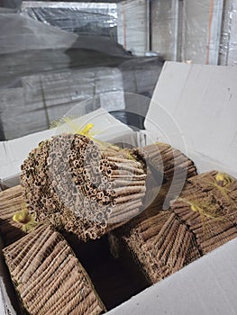 Cinnamon sticks are ready to be shipped