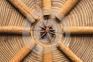 Cinnamon sticks with star anise centred on acacia wood slice photo
