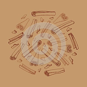 Cinnamon sticks. Vector drawing of aromatic spices set. Seasonal food illustration on brown background. Hand drawn