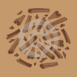 Cinnamon sticks. Vector drawing of aromatic spices set. Seasonal food illustration on brown background. Hand drawn