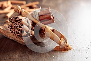 Cinnamon sticks and a wooden spoon with powder