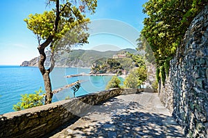 Cinque Terre: Hiking trail to Monterosso al Mare in early summer, Liguria Italy