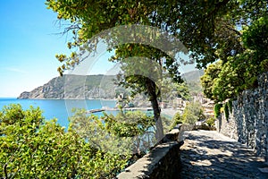 Cinque Terre: Hiking trail from Vernazza to Monterosso al Mare, hiking in early summer at Mediterranean landscape, Liguria Italy