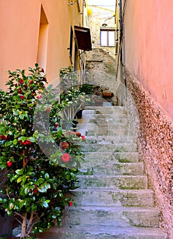 Cinque Terre, Italy - corniglia