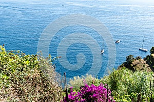 Cinque Terre National Park in Italy. Hiking among tree covered hills on Italian coast