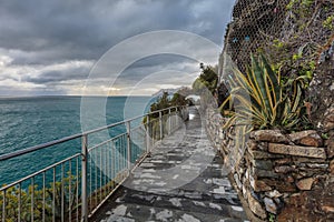 Cinque Terre - road of love