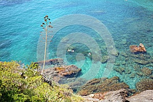 Cinque Terre: Rocky coastline with beach near village Monterosso al Mare, Liguria Italy