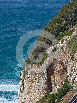 Cinque Terre typical steep cliff pine trees and rocks