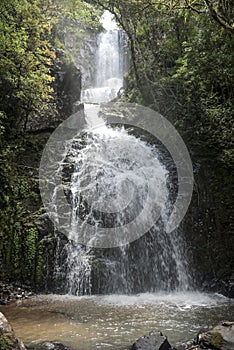 Cintura de Noiva Waterfall