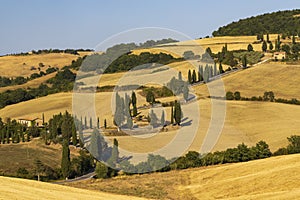 Cipressi di Monticchielo, Typical Tuscan landscape near Montepulciano, Italy