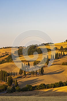 Cipressi di Monticchielo, Typical Tuscan landscape near Montepulciano, Italy