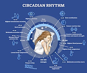 Circadian rhythm as educational natural cycle for healthy sleep and routine photo