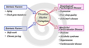 Circadian Rhythm Disruption