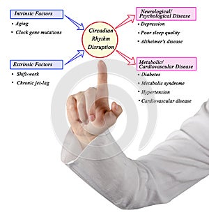 Circadian  Rhythm Disruption