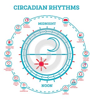 Circadian Rhythm. Scheme of Sleep Wake Cycle. Infographic Elements. Sunlight Exposure on Regulates Hormones Production