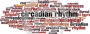 Circadian rhythm word cloud