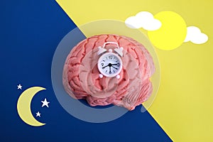 The circadian rhythms are controlled by circadian clocks or biological clock