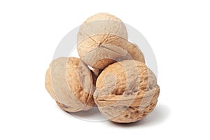 Circassian walnut isolated over white