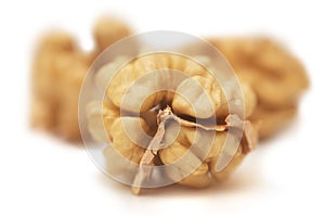 Circassian walnuts kernels