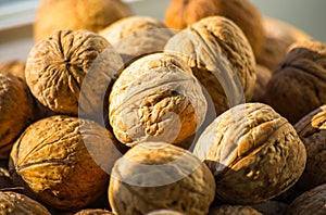 Circassian walnuts in plate