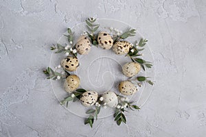 Circle border for easter card or invitation. Easter wreath with easter quail and leaf sprigs of eucalyptus. Concrete bac