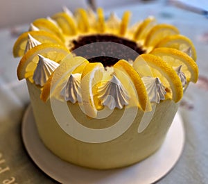 circle, cake with grated coconut and macaroon. dessert for my lady's party.