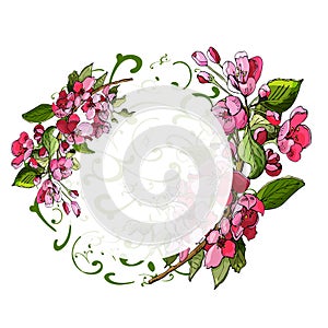 Circle composition of blossoming pink branch of apple tree and flowers. Hand drawn colored sketch of malus flowers.