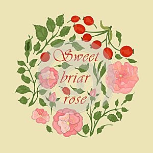 Circle Composition with Dog-Rose and a Phrase