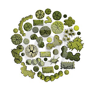 Circle composition with symbols of trees and shrubs  in plan view whithout shadow. Hand drawn ink and colored sketch.