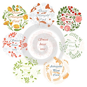 Circle Compositions with Bunch of Herbs and Text