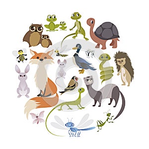 Circle of cute animals. Mammals, amphibians, reptiles, insects a