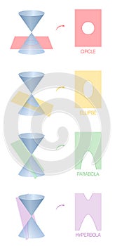 Circle Ellipse Parabola Hyperbola Conic Section
