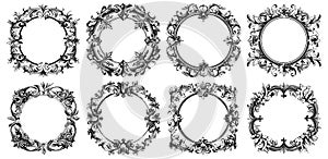 Circle engraving frames. Vintage flourish calligraphic round frame set, etching ornamental wreaths isolated, baroque