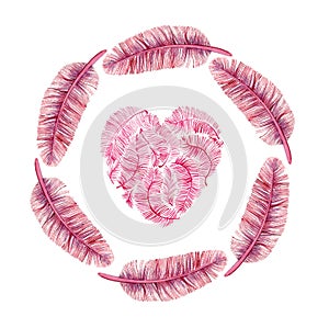 A circle of feathers and a heart of feathers inside the circle. Pink colors. White background.