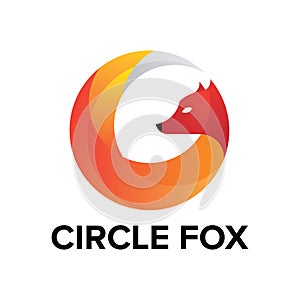 Circle fox logo design icon isolated on white background