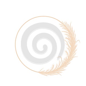 Circle frame with dry pampas grass. Wreath of beige cortaderia in boho style. Vector dried flowers isolated on white