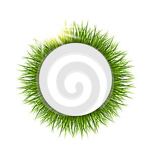 Circle frame with grass and sunlight. Floral nature background