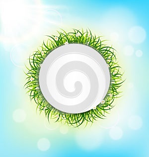 Circle frame with green grass, chamomiles and sunlight on sky