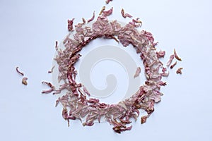 a circle frame made of dried sakura petals on white background,