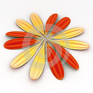 Circle of Gerbera Petals