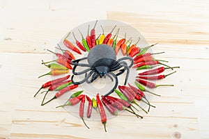 Circle of hot red pepper frame on a wooden background in the center of a spider toy