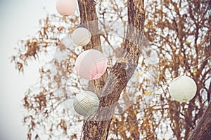 Circle Lamp under tree