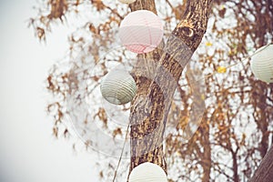 Circle Lamp under tree