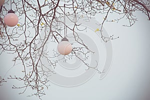 Circle Lamp under tree